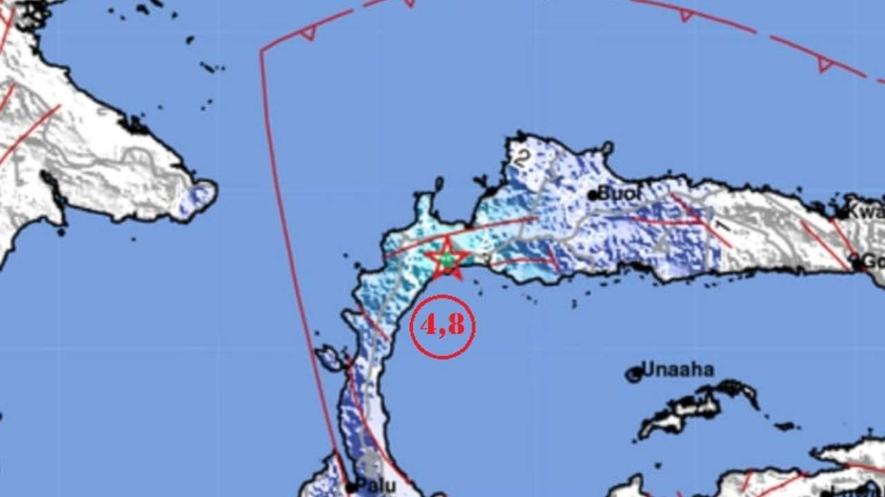 Gempa Magnitudo 4,8 Pagi Ini Guncang Parigi Moutong, Cek Disini Titik Episentrum dan Kedalamannya 