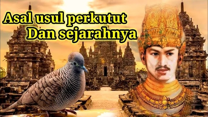 Benarkah Burung Perkutut Berbau Mistis? Ini Penjelasan Asal Usul dan Sejarah Lengkapnya