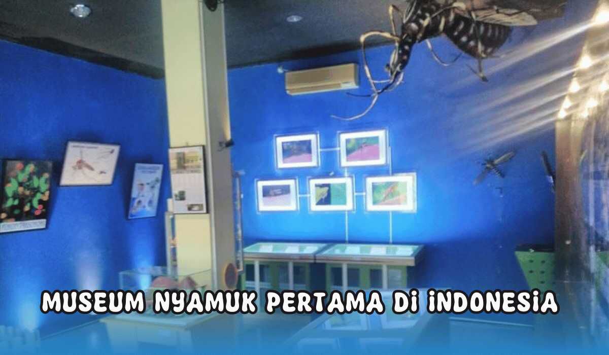 Museum Nyamuk Pangandaran Jadi Referensi Kunjungan Wisata Edukasi Bersama Muridmu, Nih Lokasinya!
