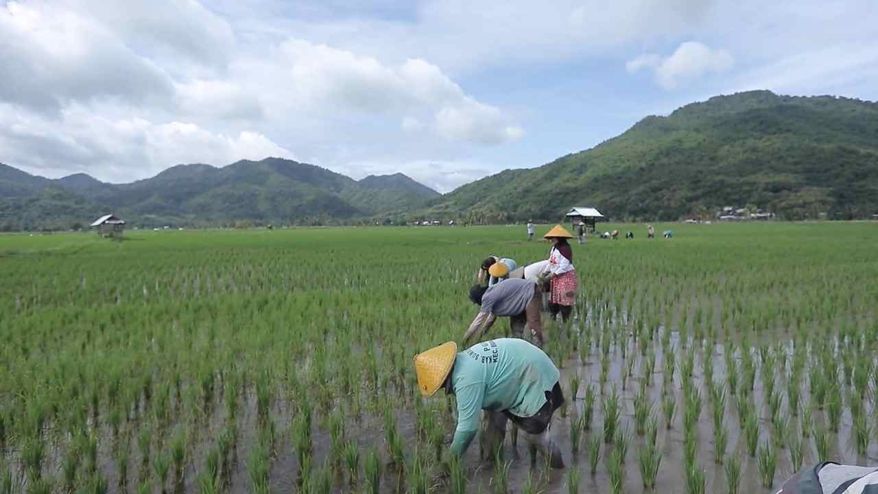 Berbasis Gotong Royong, Desa Manemeng Perkuat Ekosistem Ekonomi Kerakyatan melalui Program Desa BRILiaN