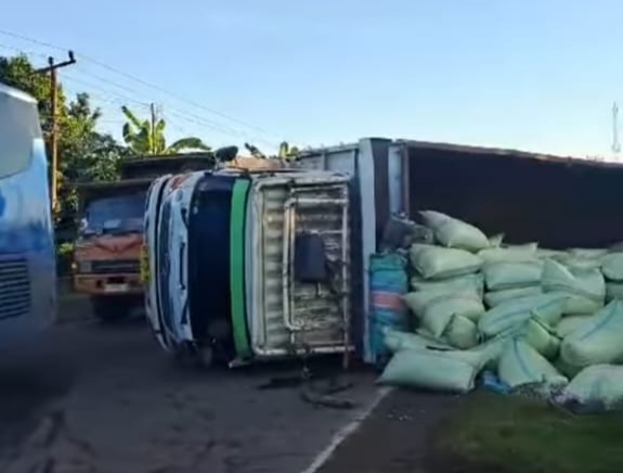 Truk Muatan Pakan Tujuan Jakarta Terguling di Jalintim Palembang-Jambi, Gak Nyangka Penyebabnya Ini? 