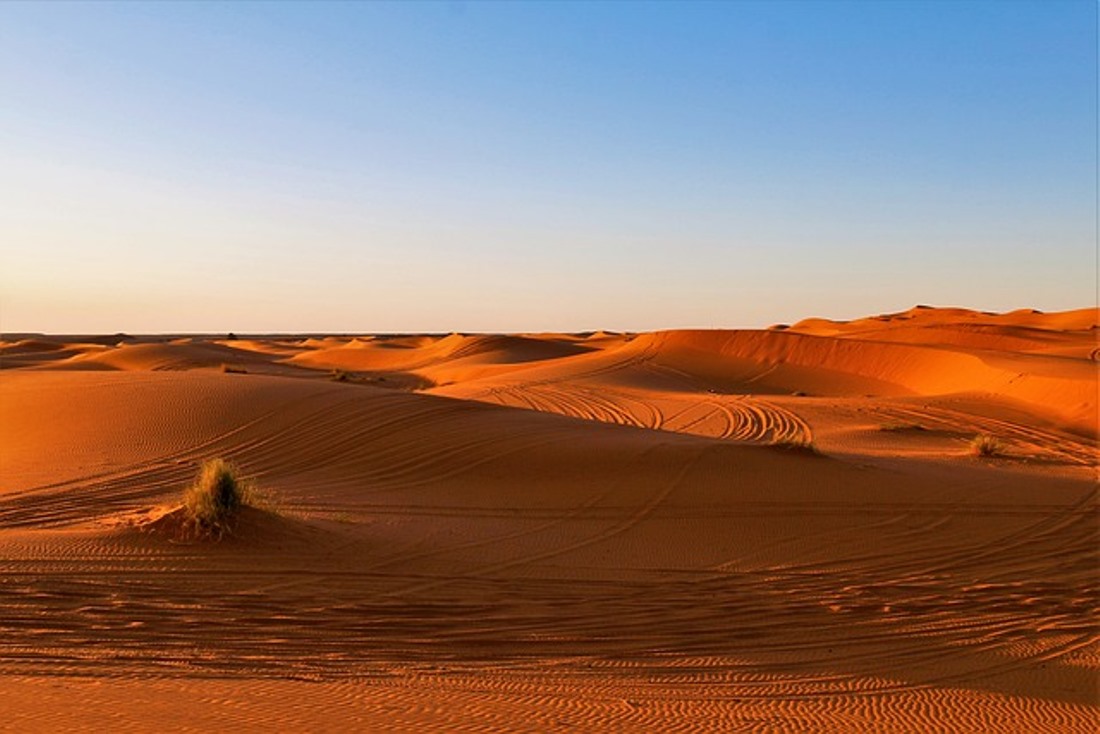 Ribuan Tahun Gersang, Gurun Sahara Dilaporkan Menghijau, Ini Kata NASA