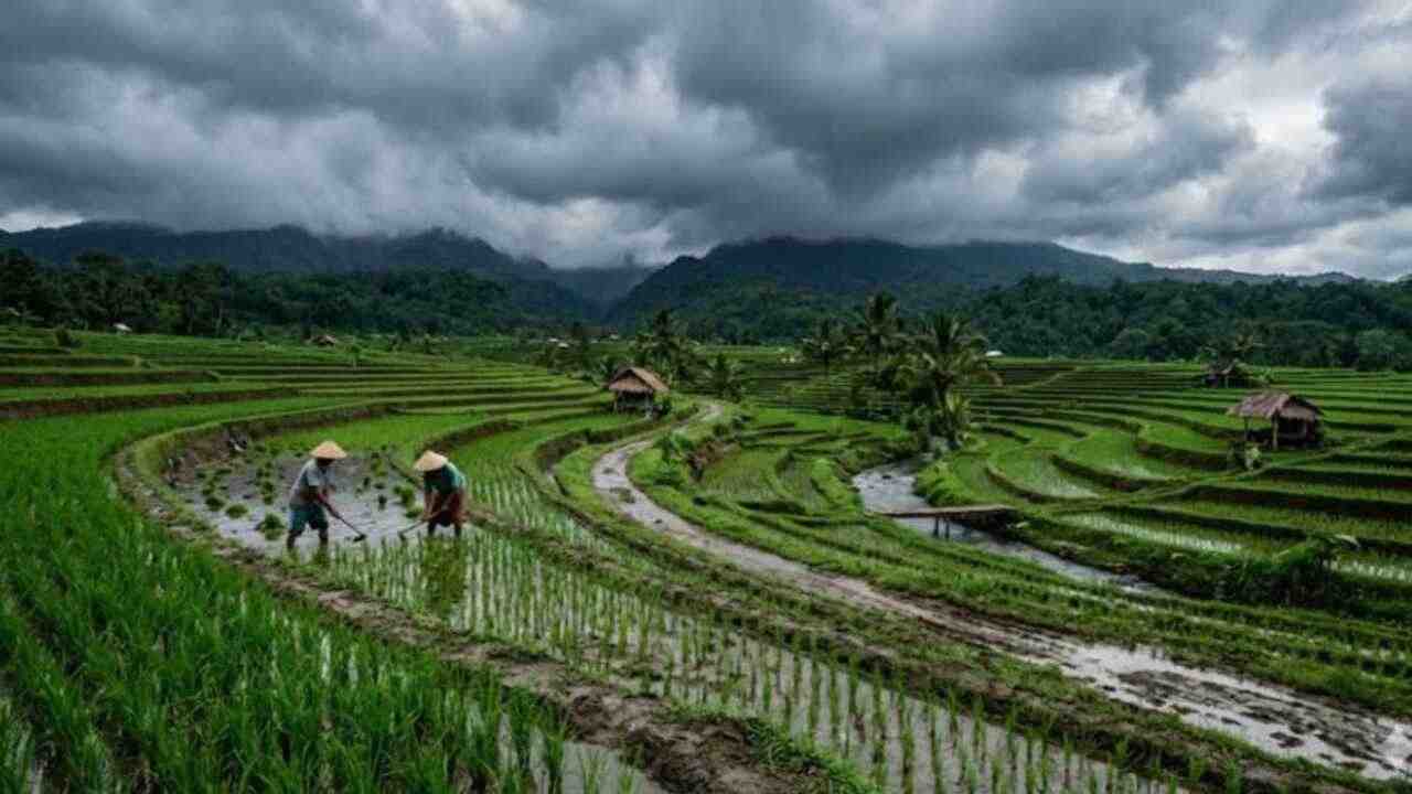 Hari Kedua Lebaran 2026, Cuaca Sumsel Kurang Bersahabat? Ini Prediksi Lengkap dari BMKG