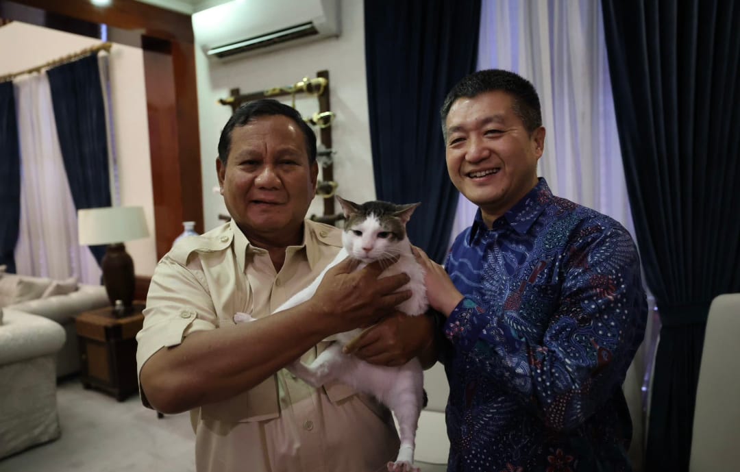 Mengenal Bobby Kertanegara, Kucing Kampung yang Naik Kasta Jadi Kucing Istana