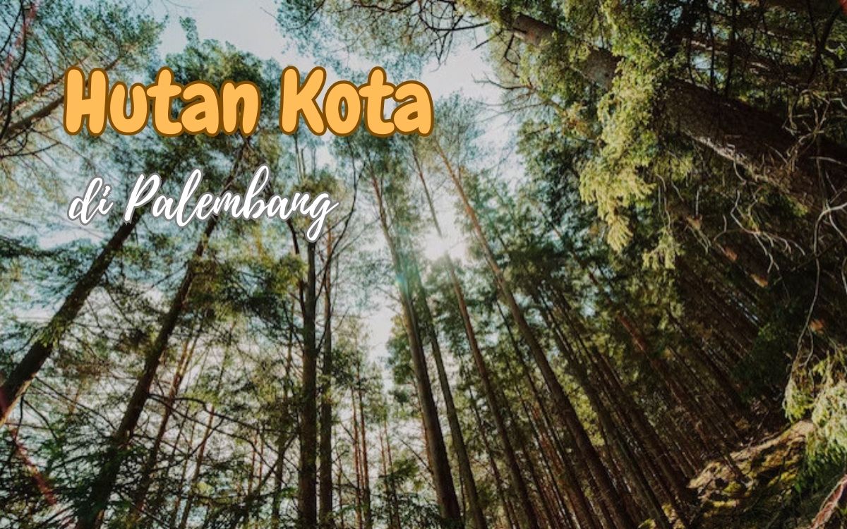 Hanya 5 Menit dari Pusat Palembang, Ternyata Ada Hutan Kota dengan 71 Jenis Pohon