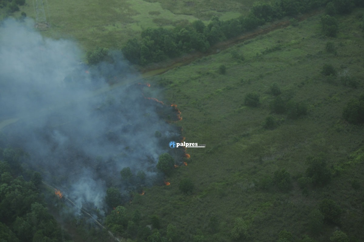 BPBD Muba Ungkap Hanya 851,57 Hektare Terbakar di Muba 