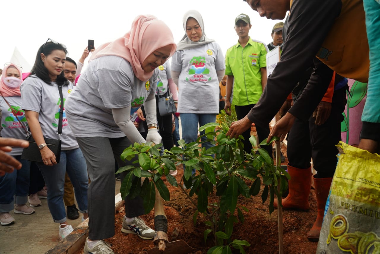 Hari Sejuta Pohon, Perwosi Sumsel Tanam Tabebuya Ungu di Sepanjang Sempadan Jembatan Musi VI