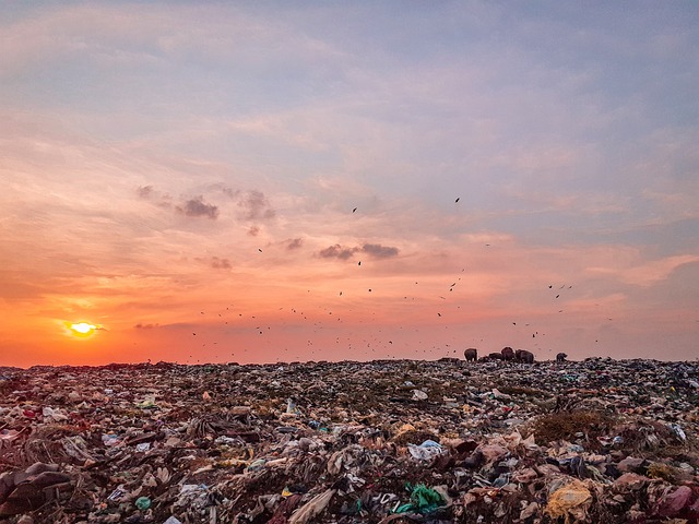 IKN Tampung 80 Ton Sampah Setiap Harinya? Begini Kondisi Lingkungan Sekitar Ibu Kota Negara