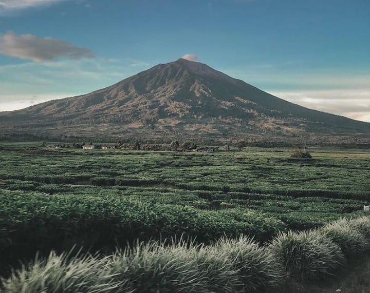 WOW! Ini Rekomendasi 6 Gunung Paling Sulit Didaki di Indonesia Khusus untuk Pendaki Profesional, Berani Coba?