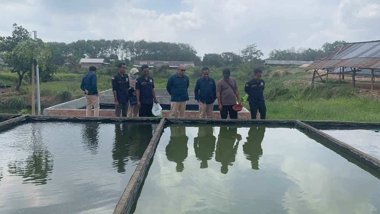 Berdayakan Masyarakat, PT Bukit Asam Sulap Lahan Tidak Produktif di Sukamoro