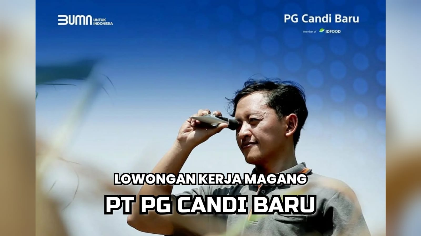 Lowongan Kerja Magang BUMN PT PG Candi Baru Ini Tanpa Batasan Umur, Berminat? Ini Persyaratannya!