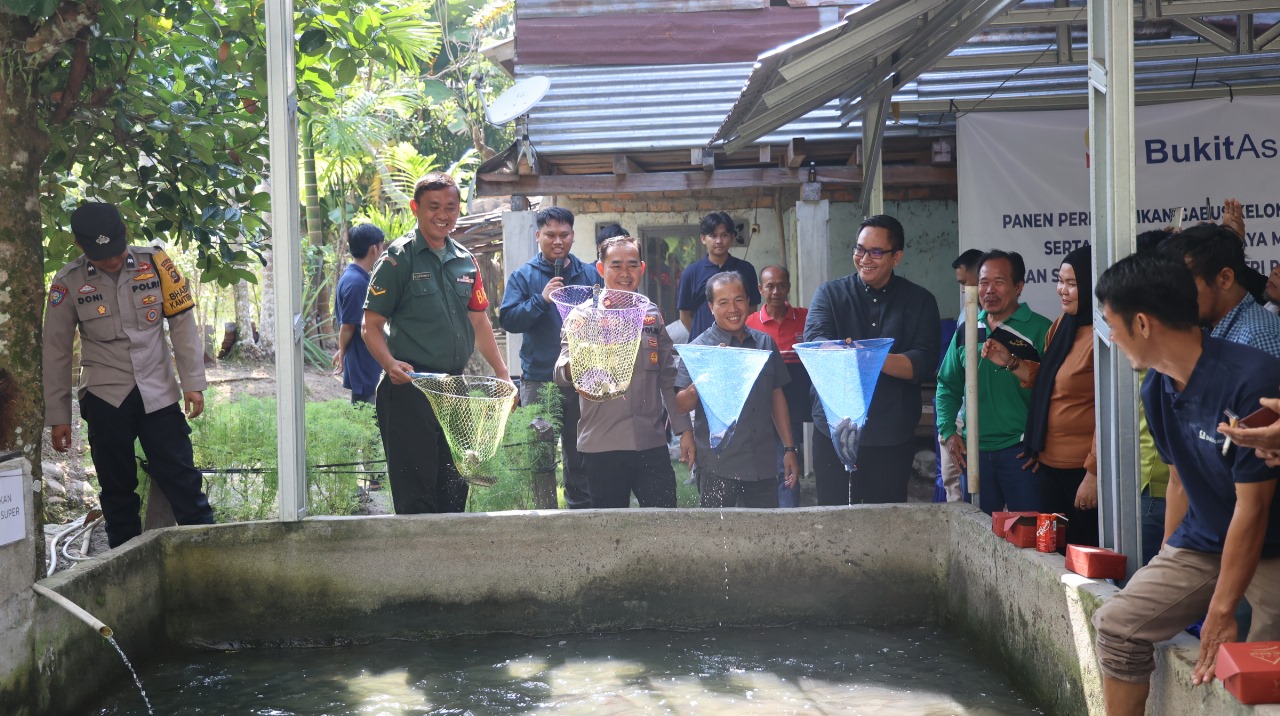 Perluas Lapangan Kerja, Bukit Asam Dorong Budidaya Ikan Gabus di Desa Tanjung Agung