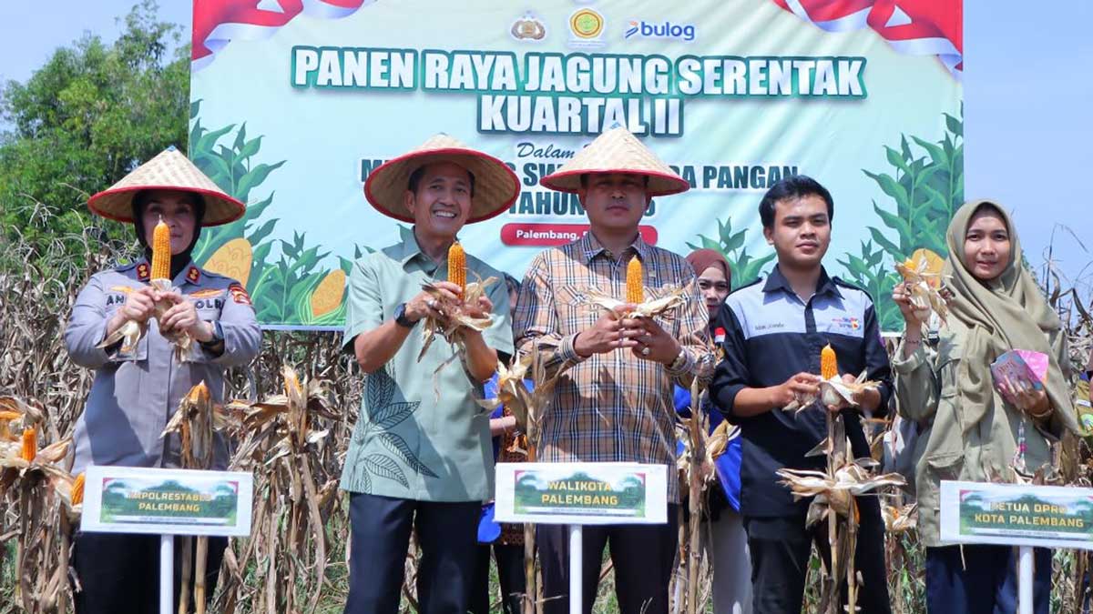 Wali Kota Palembang Ikut Panen Raya Serentak Bersama Presiden Prabowo, Dukung Ketahanan Pangan Nasional