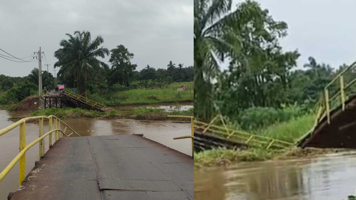 Akses Putus Total! Jembatan di Ogan Ilir Ambruk Dihantam 'Lautan' Eceng Gondok