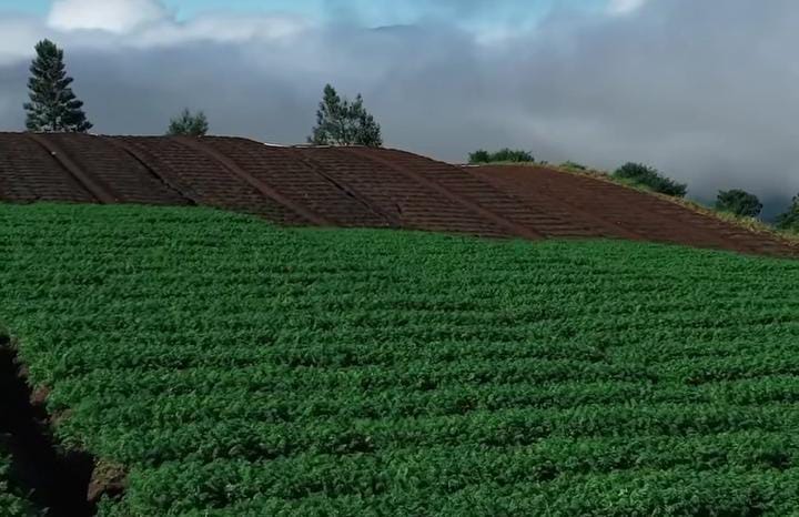 13 Kota Ini Bisa Kamu Datangi di Akhir Tahun Nanti, Semua Destinasi Wisata tersedia Dengan Budget Terjangkau!