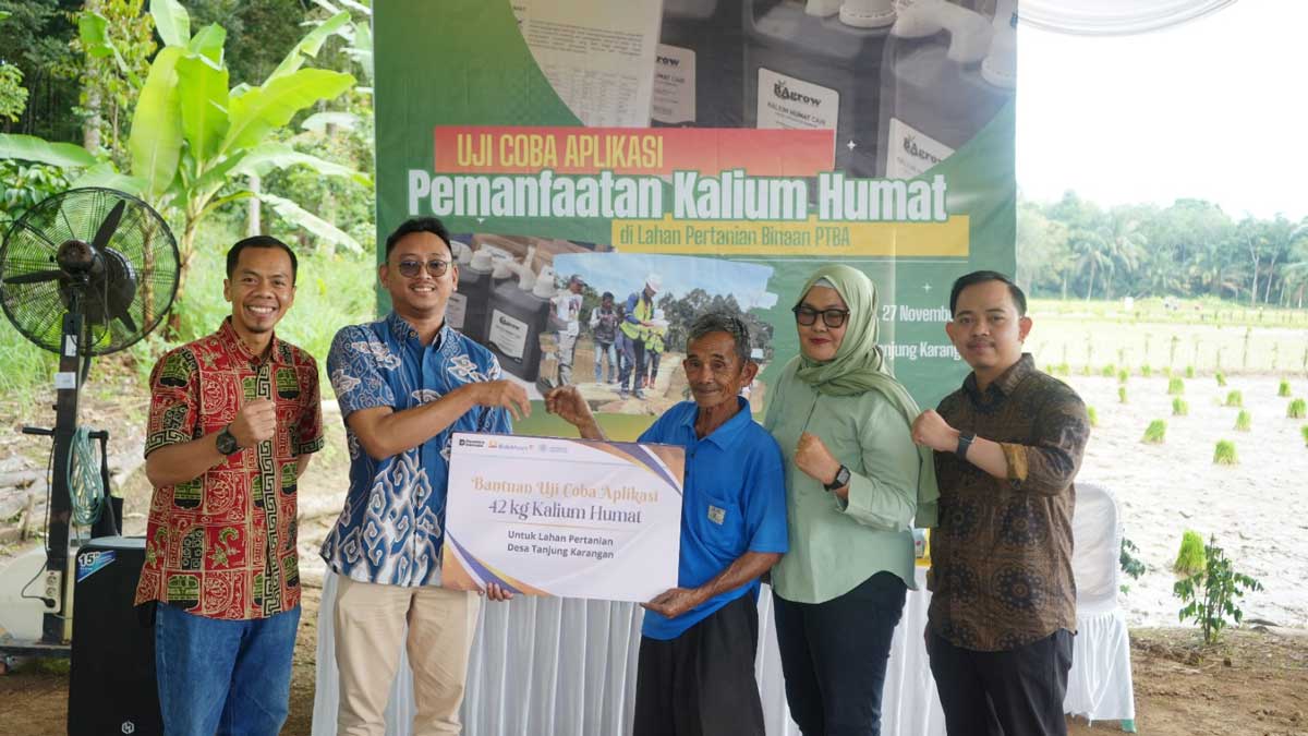 Langkah Nyata PTBA Tingkatkan Hasil Panen Petani Muara Enim Lewat Uji Coba Pemanfaatan Kalium Humat