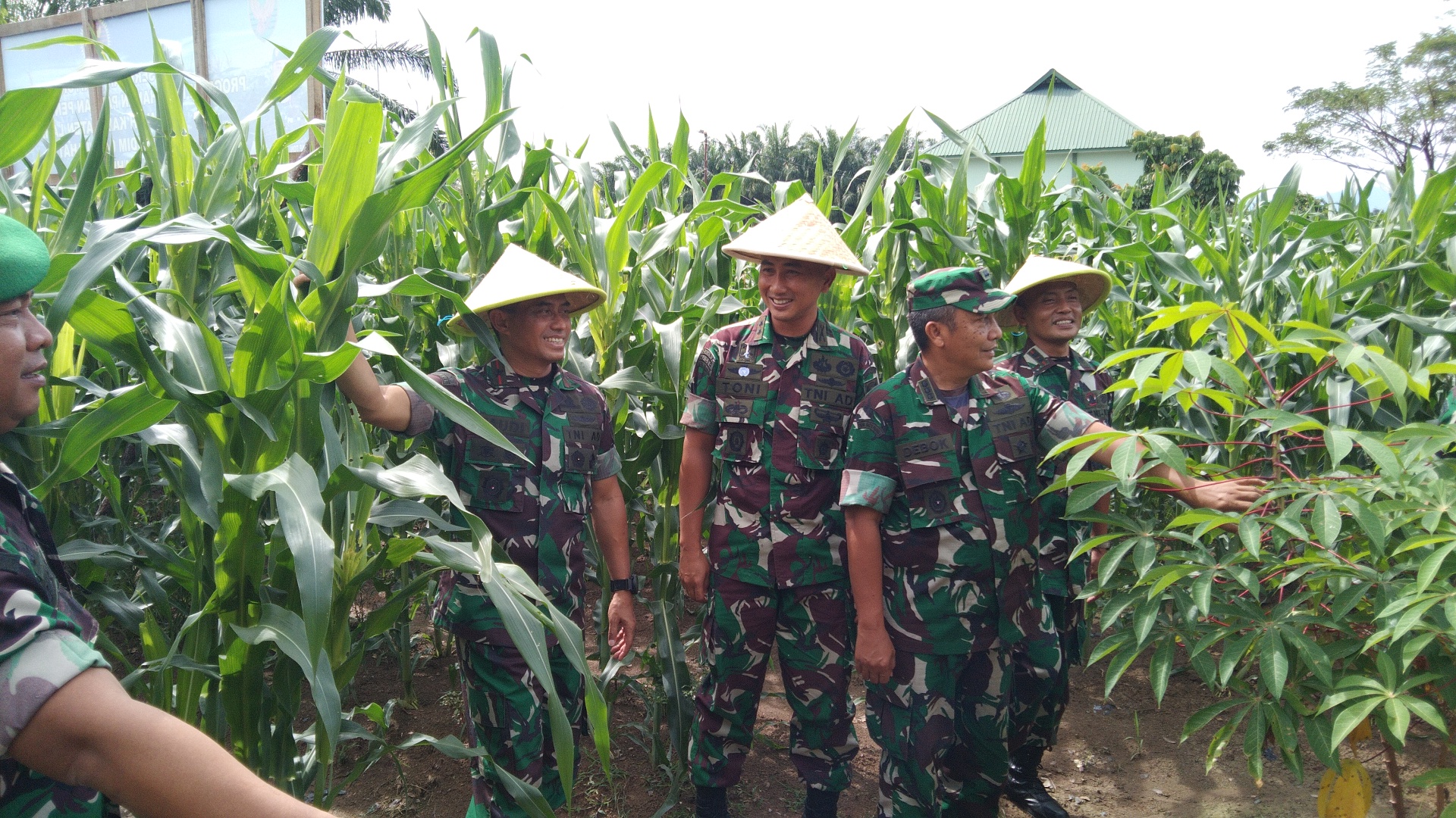 Danrem 044/Gapo Kunjungi Kebun Jagung Kodim 0405/Lahat