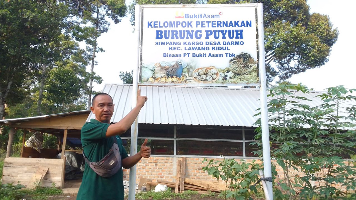 Dukungan PTBA Bawa Agus Sukses Kembangkan Peternakan Puyuh di Tanjung Enim