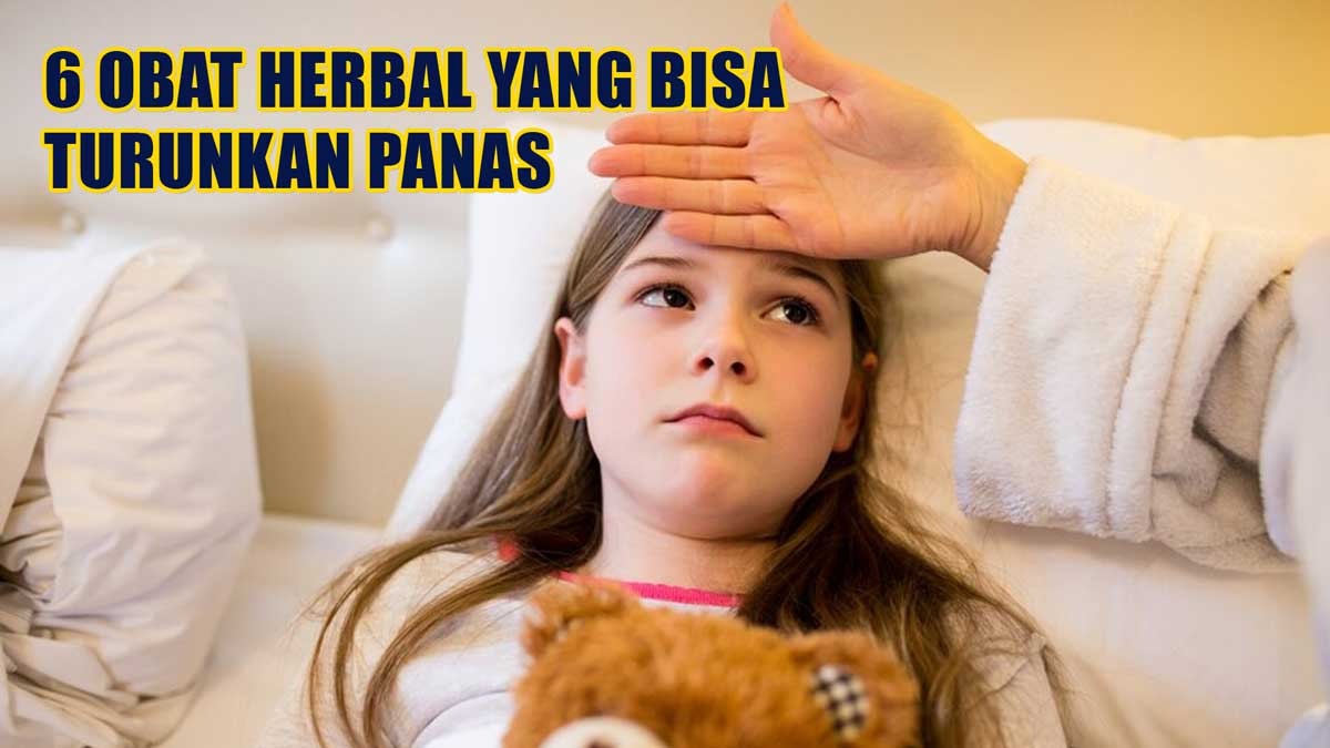 Anak Panas? Jangan Panik, Ini 6 Obat Herbal yang Bisa Menurunkan Panas, Wajib Dicoba di Rumah