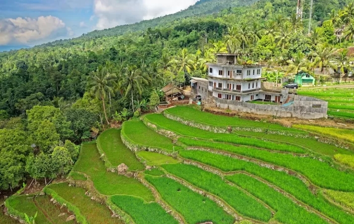 Tetangga Pada Kemana? Inilah 5 Kecamatan Tersepi di Jember, Juaranya Ternyata Kecamatan Ini