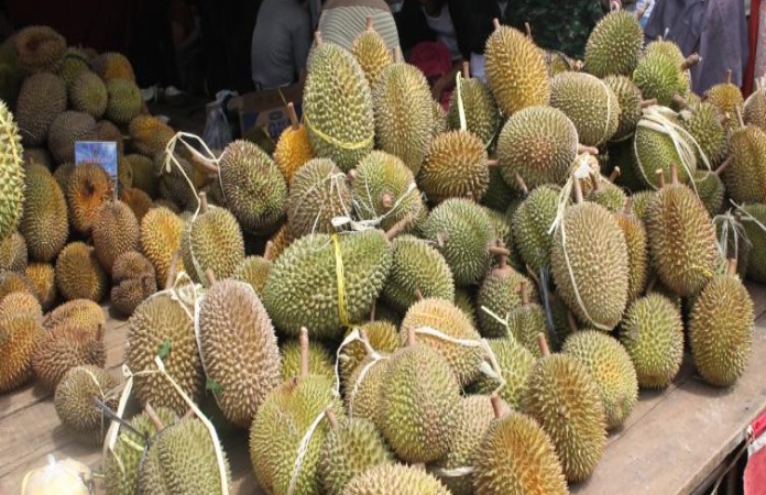 Murah Nian! Inilah 3 Kedai Durian di Palembang yang Tak Kenal Musim, Bikin Ketagihan?