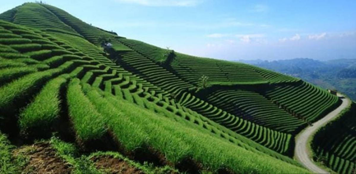 Lagi Hits di Kalangan Anak Muda, 5 Tempat Wisata di Majalengka Ini Cocok Buat Liburan Akhir Tahun