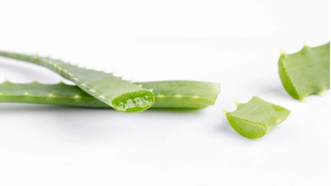 Ingin Kulit Glowing Alami? Rutin Pakai Lidah Buaya dan Lihat Hasilnya