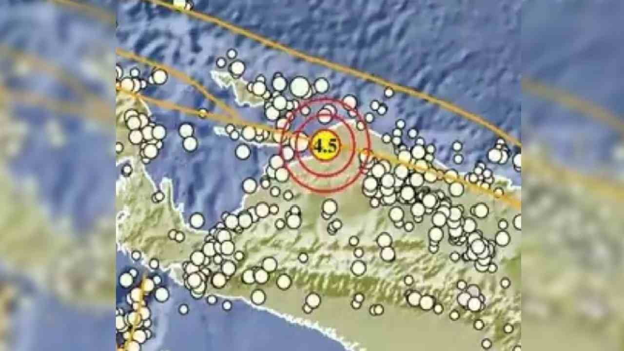 Update BMKG, Gempa 4.5 Magnitudo Guncang Mamberamo Raya Papua, Cek Kedalaman dan Episentrumnya