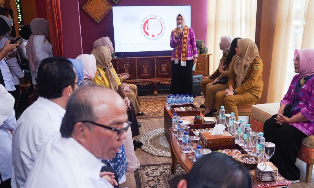 Pemprov Sumsel Inginkan Kriya Sriwijaya Jadi Pusat Edukasi Kerajinan Sumsel