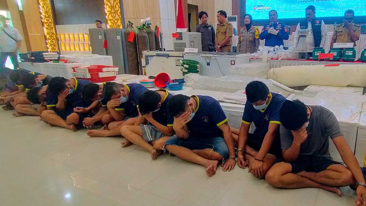 DKP Provinsi Lampung: Penegakan Hukum Tegas untuk Perdagangan Benih Lobster Ilegal