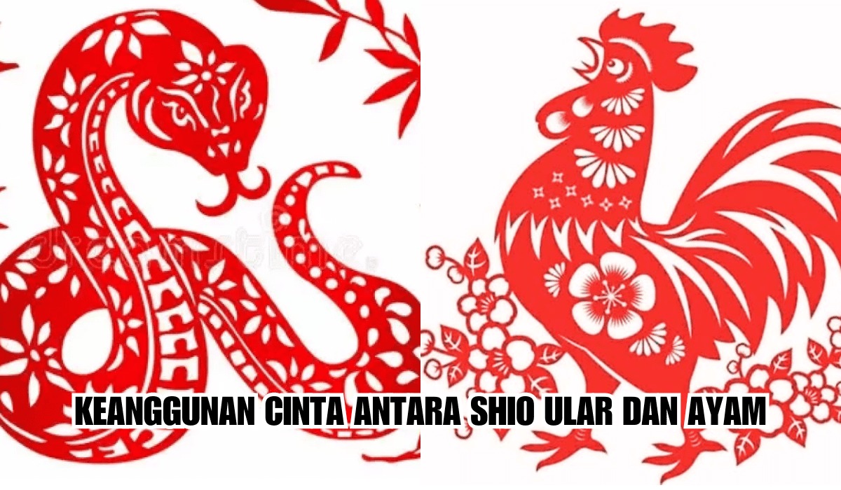 Keanggunan Cinta antara Shio Ular dan Ayam: Disebutkan Paling Cocok Dalam Menjalin Hubungan, Ini Prediksinya