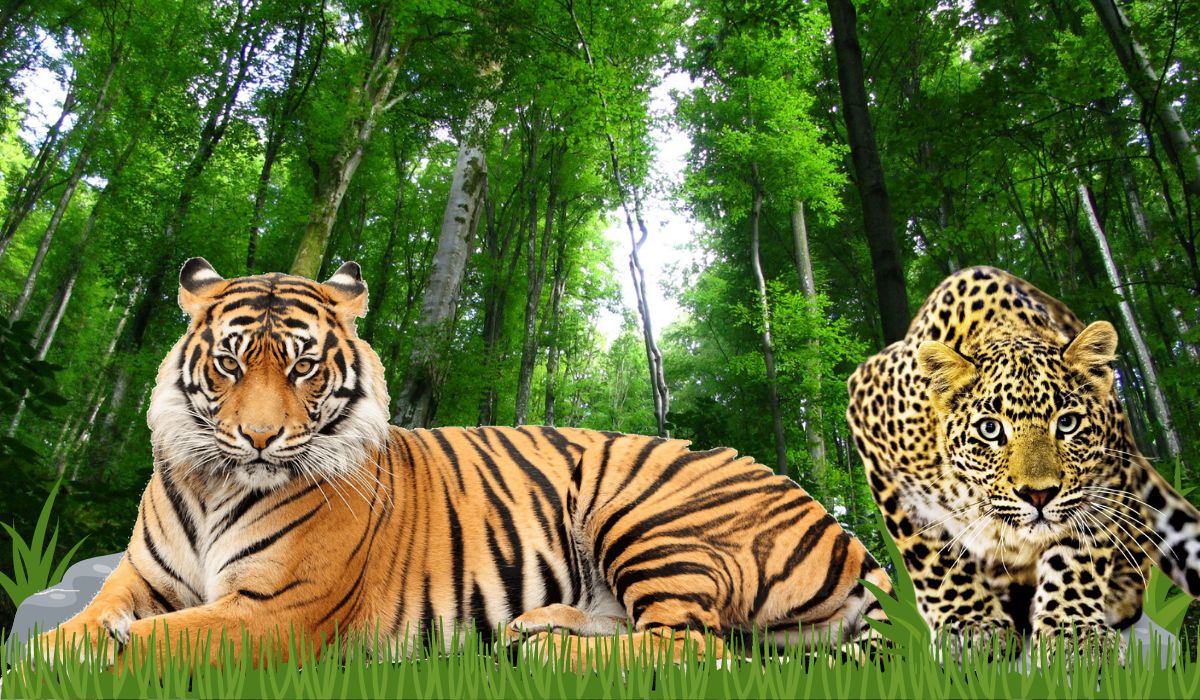 Inilah 5 Hewan Terancam Punah di Dunia, Ada yang Berasal dari Indonesia?