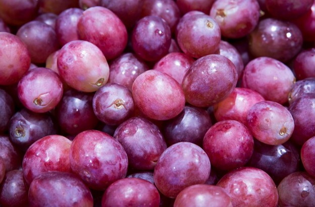 Jangan Dibuang! Ini 7 Khasiat Biji Anggur Ini Ternyata Efektif Obati Berbagai Penyakit