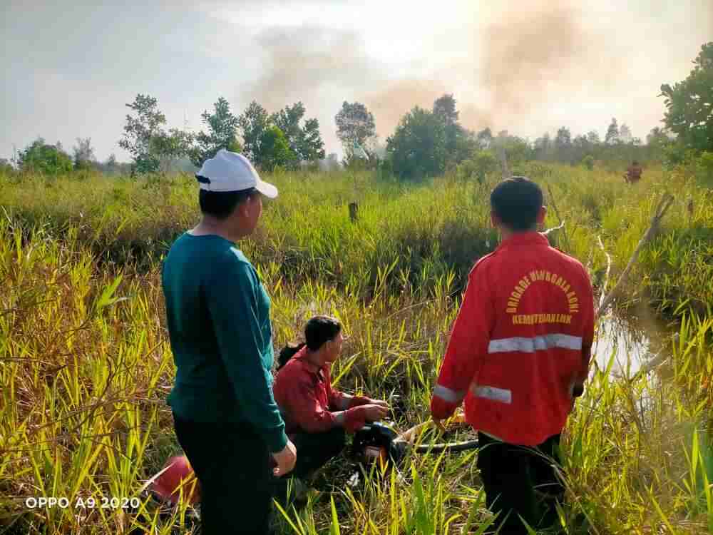 Lahan 4 Hektar Terbakar di Sungai Rambutan, Ini yang Dilakukan Polsek Indralaya