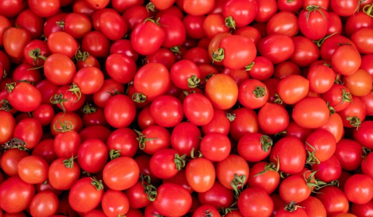8 Manfaat Buah Tomat Ceri, Salah Satunya Menjaga Kesehatan Jantung