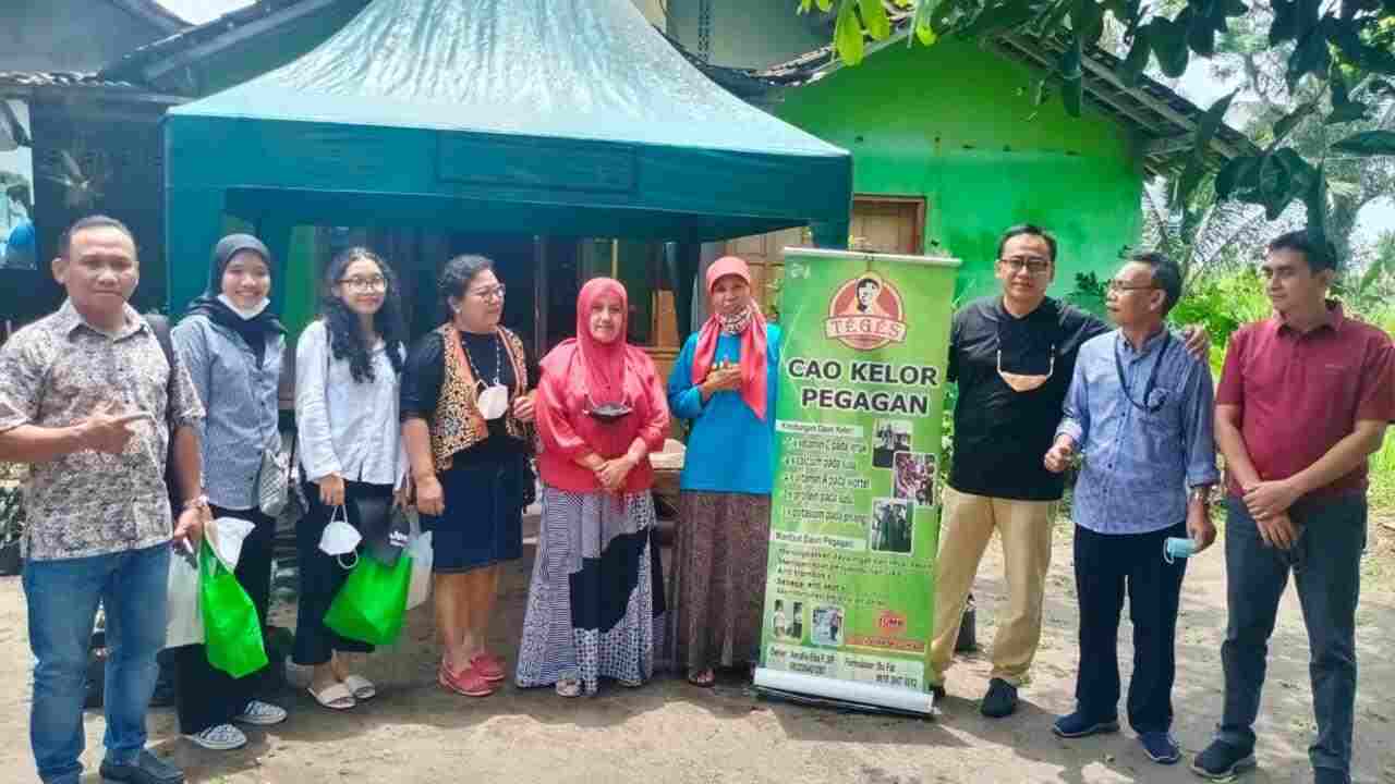 Manfaatkan KUR BRI, Pengusaha Wanita Ini Sulap Kelor Jadi Aneka Olahan Pangan yang Digemari