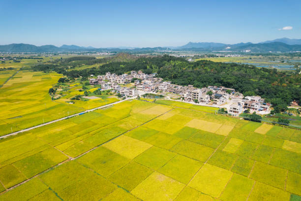 Banten Wacanakan Pemekaran Wilayah, 6.590.719 Penduduk Siap Bentuk Provinsi Baru