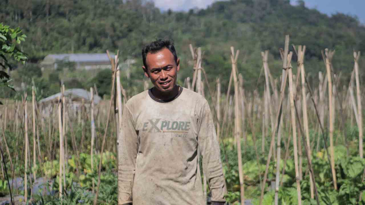 Mengenal Desa BRILian Sumowono, Desa Sayur yang Tumbuh dan Terus Berinovasi Bersama BRI