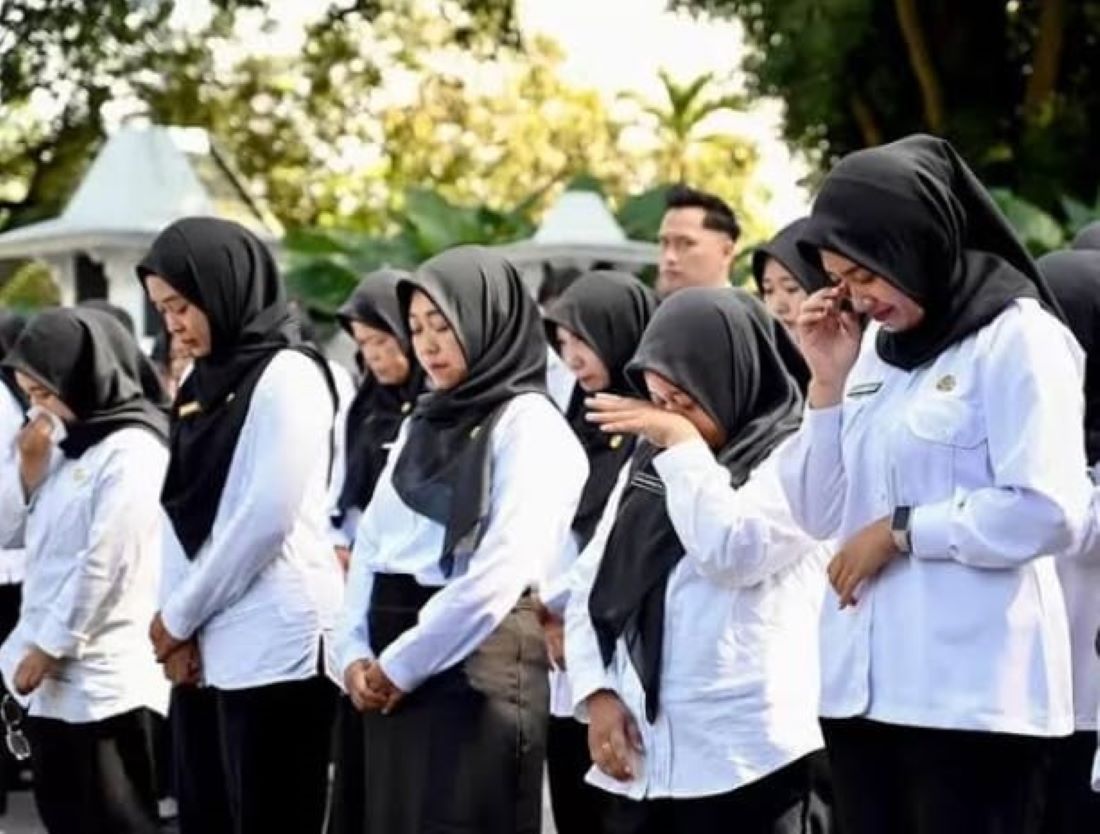 JANGAN LEWATKAN! BKN Ungkap Peluang Baru Bagi Honorer Gagal Seleksi PPPK Tahap 2