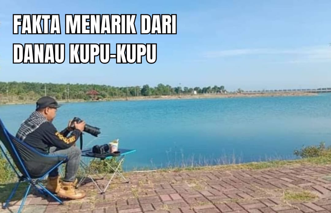 Berjarak 41 Km dari Palembang, Ini Fakta Menarik dari Danau Kupu-kupu Cantik, Tertarik?