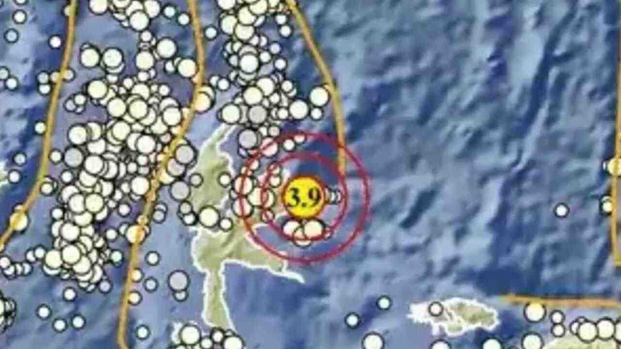 Gempa Magnitudo 3.9 Guncang Halmahera Timur Pagi Ini, BMKG:  Pada Kedalaman 10 Km
