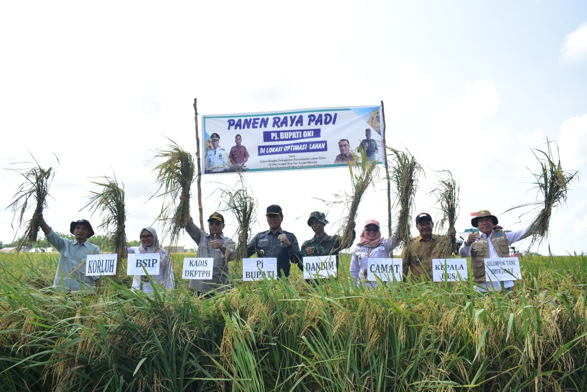 Petani OKI Dapat Manfaat Opla, Bisa Panen Tiga Kali Setahun