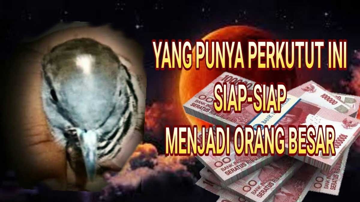 Burung Perkutut Pemancar Energi Positif yang Bisa Bawa Kekayaan Pada Pemiliknya, Peliharalah