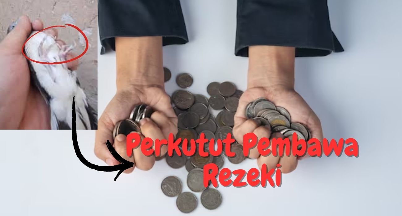 Pelihara Burung Perkutut Jenis Ini, Dijamin Rezeki Mengalir Deras, Bisnis Makin Lancar dan Cuan