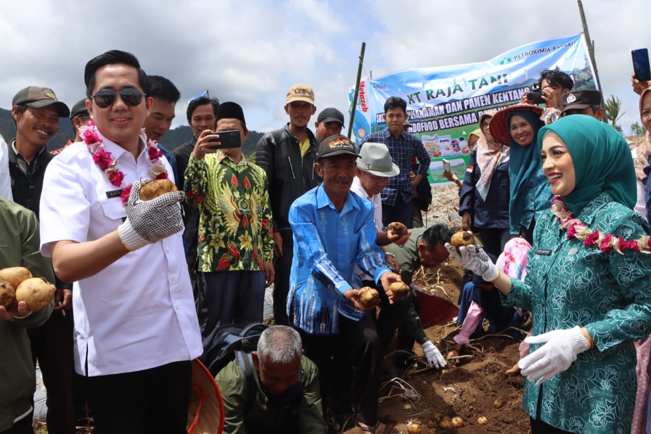 Tak Banyak yang Tahu, Bahan Baku Snack Chitato Terbaik Ternyata dari Kabupaten Muara Enim