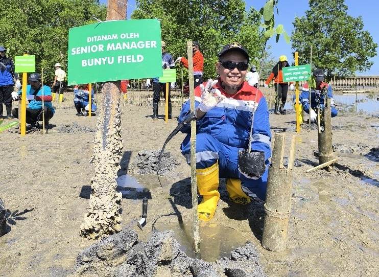 Dua Perusahaan di Kalimantan Utara Kompak Tanam 2.500 Mangrove di Pulau Bunyu