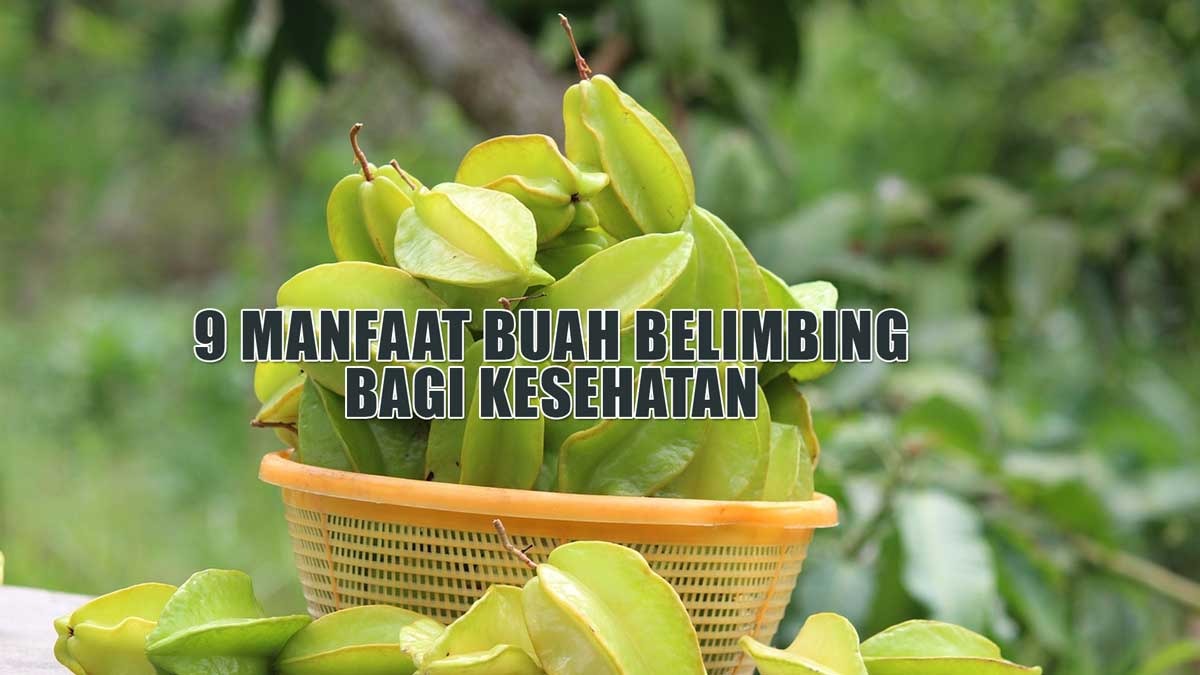 Ini Lho 9 Manfaat Buah Belimbing Bagi Kesehatan, Cocok Banget Buat Kamu ...