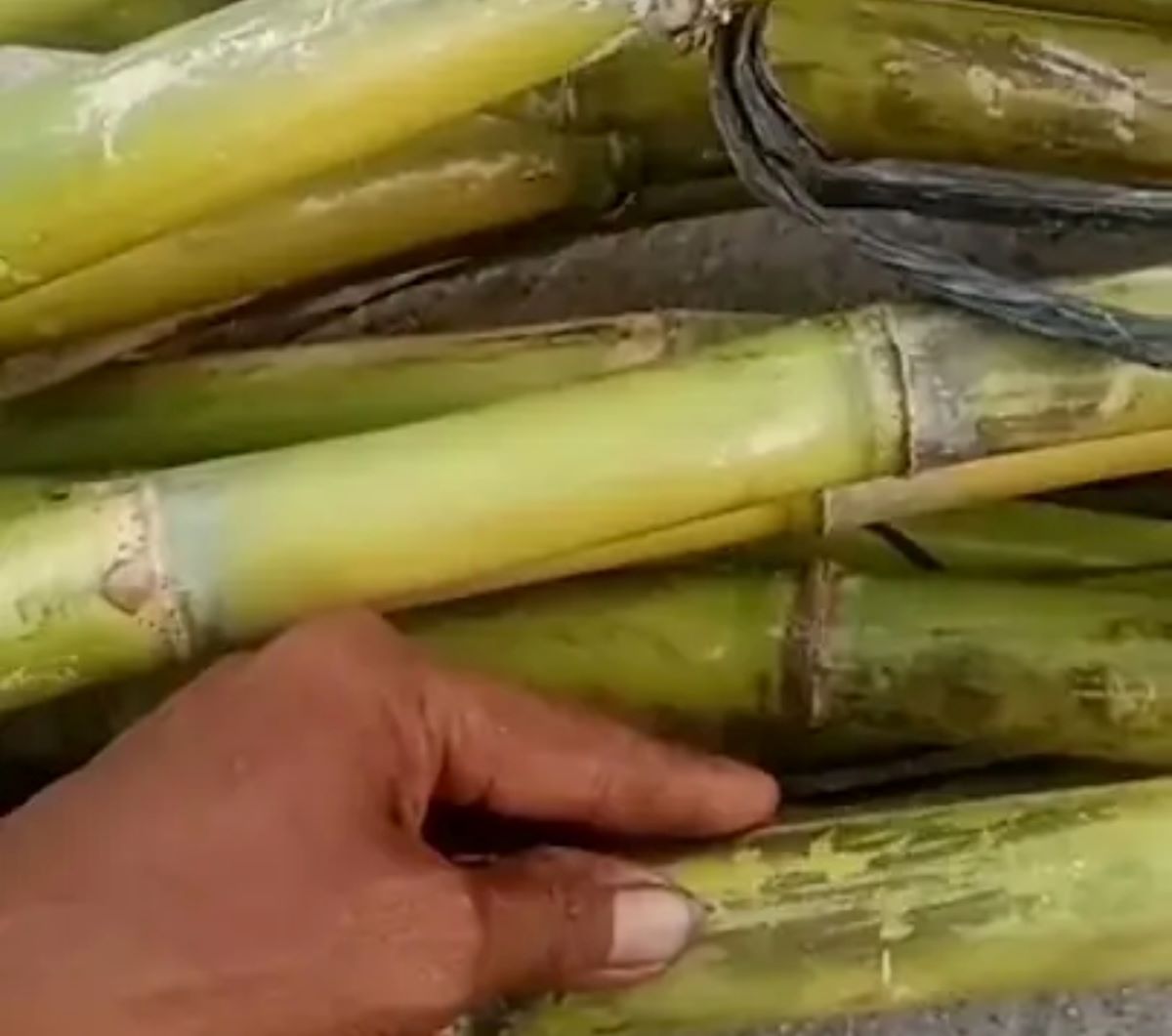 6 Khasiat Air Tebu Untuk Kesehatan, Nomor 4 Dapat Meningkatkan Energi