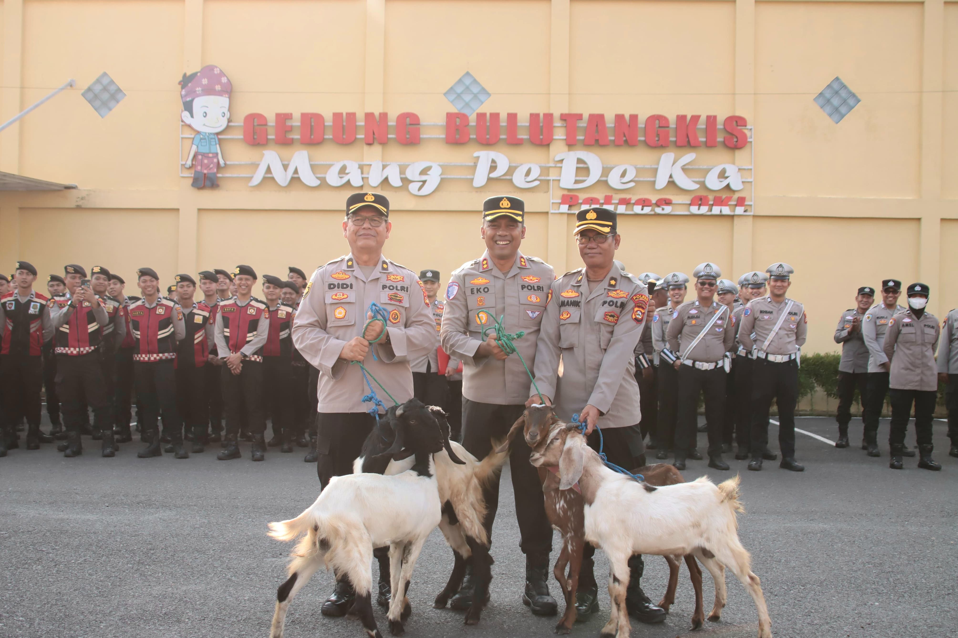PURNA TUGAS! 2 Pamen di Polres OKI Dapat Hadiah Kambing