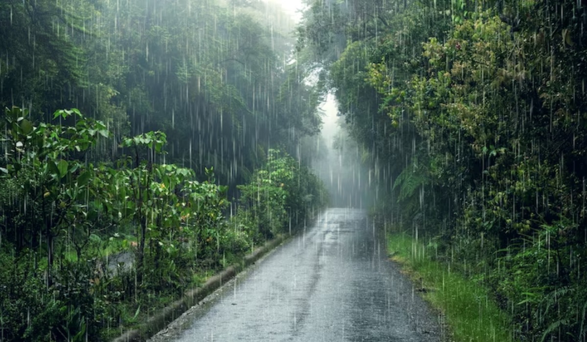 Peringatan Dini Hari Hari Selasa 16 Januari 2024: Daerah Sumatera Selatan Diprediksi Hujan Ringan Hingga Petir
